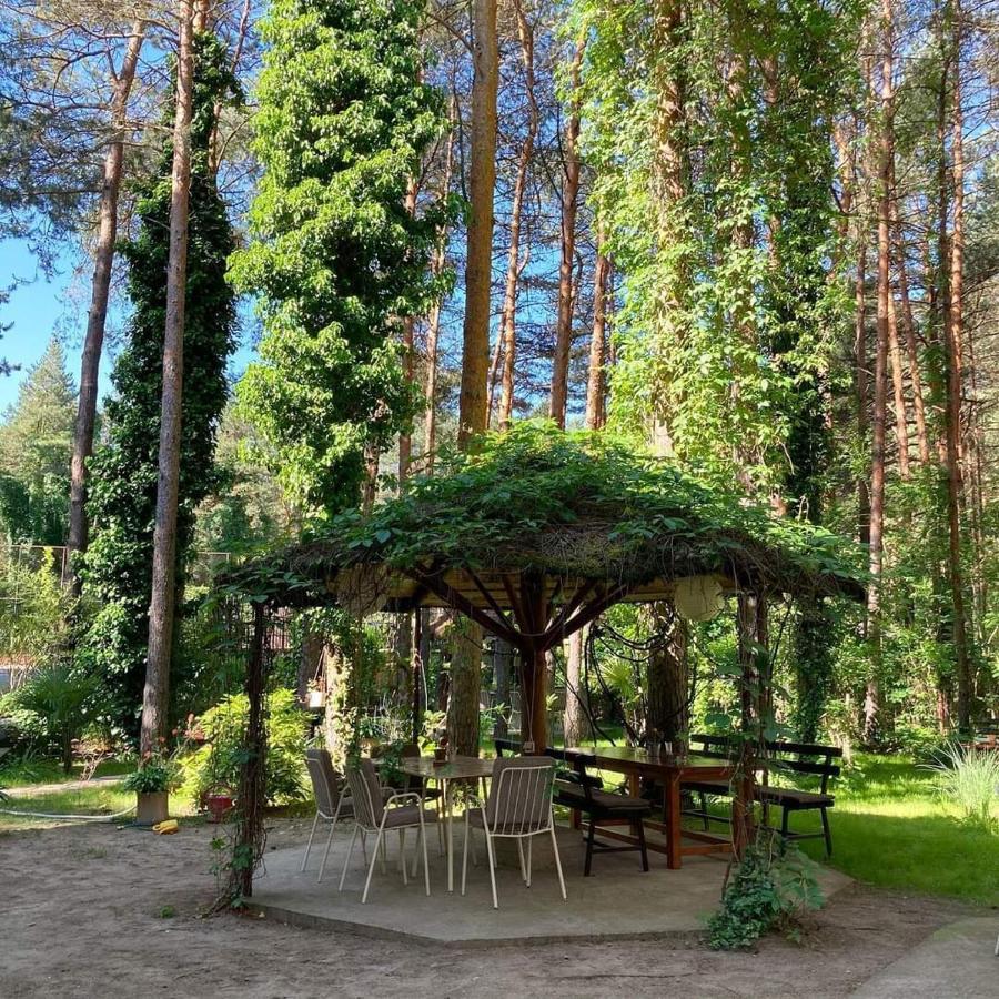 Vila Dunavski Raj Golubac Dış mekan fotoğraf